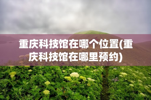 重庆科技馆在哪个位置(重庆科技馆在哪里预约)