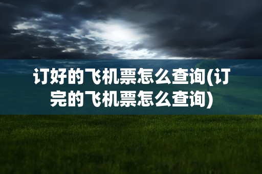 订好的飞机票怎么查询(订完的飞机票怎么查询)