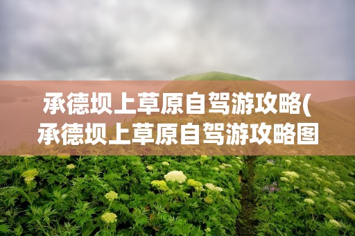 承德坝上草原自驾游攻略(承德坝上草原自驾游攻略图)