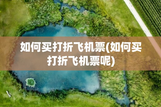 如何买打折飞机票(如何买打折飞机票呢)