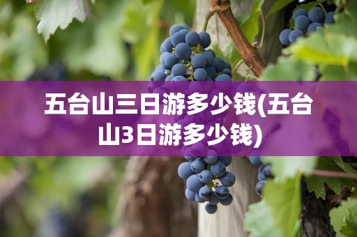 五台山三日游多少钱(五台山3日游多少钱)