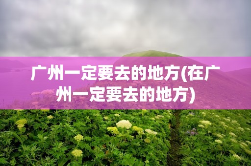 广州一定要去的地方(在广州一定要去的地方)