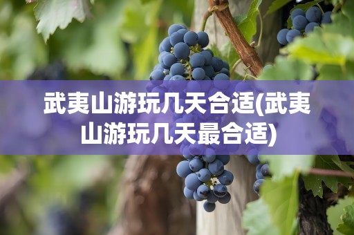 武夷山游玩几天合适(武夷山游玩几天最合适)