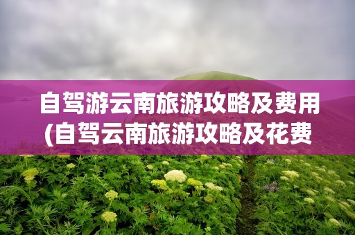 自驾游云南旅游攻略及费用(自驾云南旅游攻略及花费)