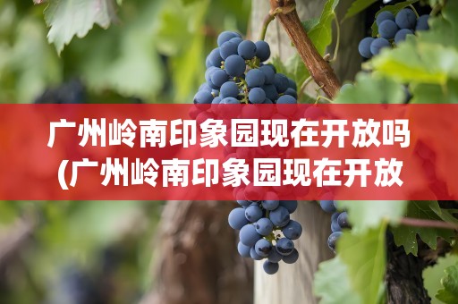 广州岭南印象园现在开放吗(广州岭南印象园现在开放吗最近)