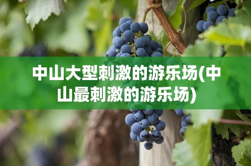 中山大型刺激的游乐场(中山最刺激的游乐场)