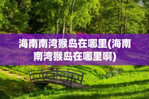 海南南湾猴岛在哪里(海南南湾猴岛在哪里啊)
