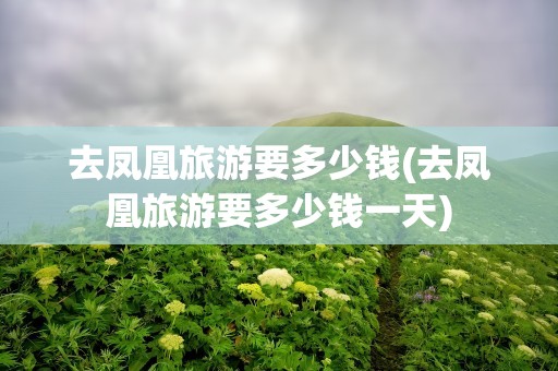 去凤凰旅游要多少钱(去凤凰旅游要多少钱一天)