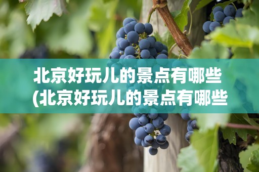 北京好玩儿的景点有哪些 (北京好玩儿的景点有哪些)