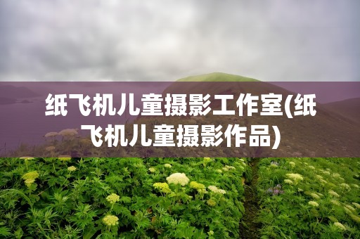 纸飞机儿童摄影工作室(纸飞机儿童摄影作品)