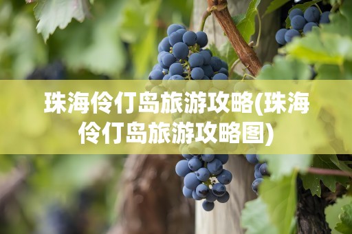 珠海伶仃岛旅游攻略(珠海伶仃岛旅游攻略图)