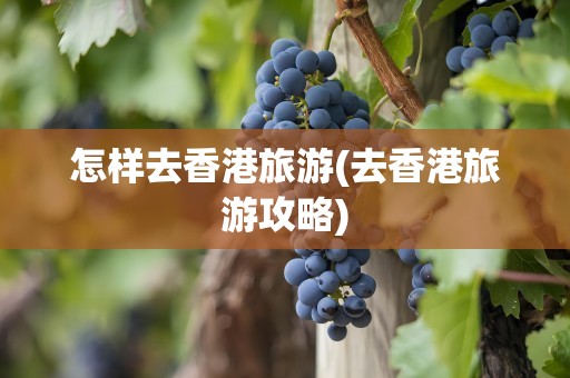 怎样去香港旅游(去香港旅游攻略)
