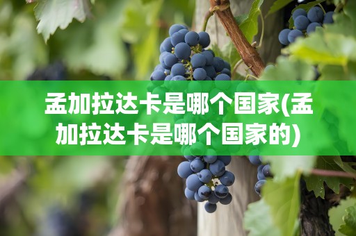 孟加拉达卡是哪个国家(孟加拉达卡是哪个国家的)