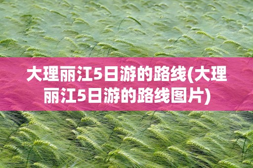 大理丽江5日游的路线(大理丽江5日游的路线图片)