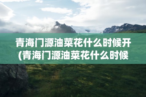 青海门源油菜花什么时候开(青海门源油菜花什么时候开花)