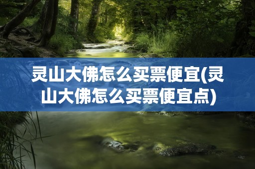 灵山大佛怎么买票便宜(灵山大佛怎么买票便宜点)