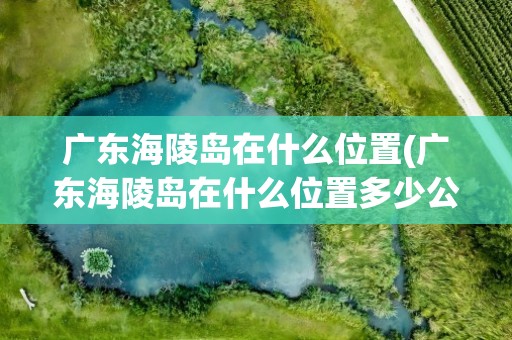 广东海陵岛在什么位置(广东海陵岛在什么位置多少公里)