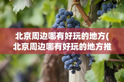 北京周边哪有好玩的地方(北京周边哪有好玩的地方推荐)