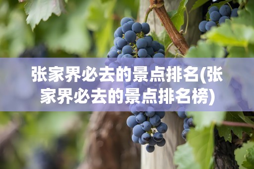 张家界必去的景点排名(张家界必去的景点排名榜)