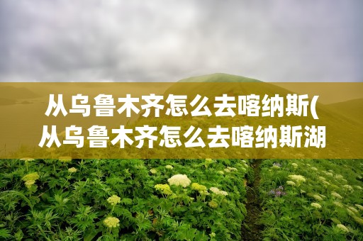 从乌鲁木齐怎么去喀纳斯(从乌鲁木齐怎么去喀纳斯湖)