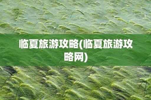 临夏旅游攻略(临夏旅游攻略网)