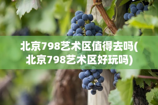 北京798艺术区值得去吗(北京798艺术区好玩吗)