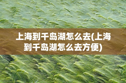 上海到千岛湖怎么去(上海到千岛湖怎么去方便)