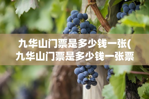 九华山门票是多少钱一张(九华山门票是多少钱一张票)