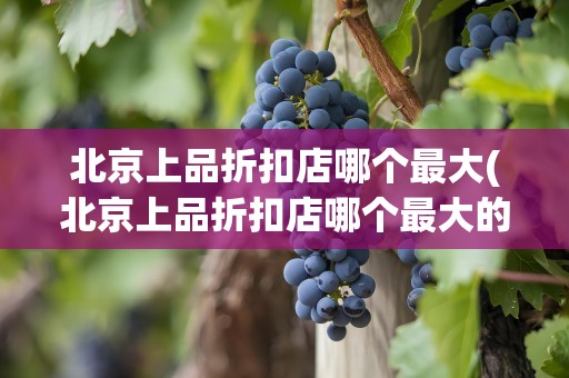 北京上品折扣店哪个最大(北京上品折扣店哪个最大的)