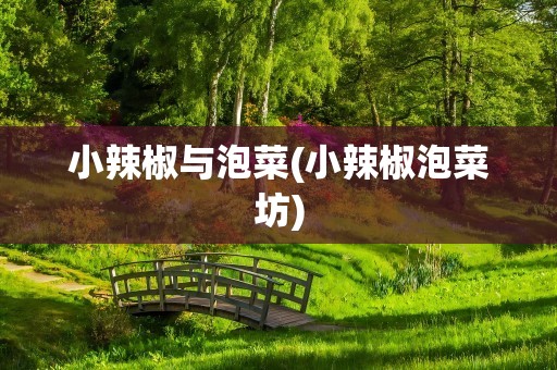 小辣椒与泡菜(小辣椒泡菜坊)