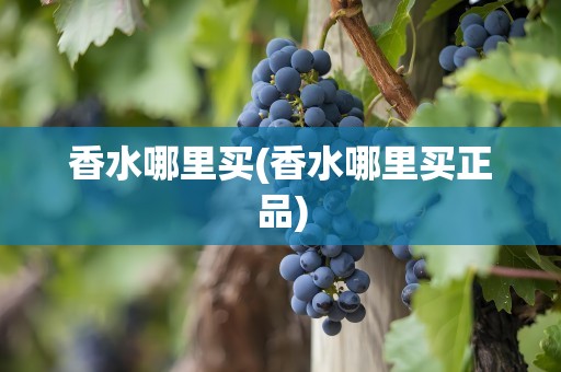 香水哪里买(香水哪里买正品)