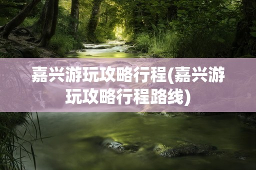嘉兴游玩攻略行程(嘉兴游玩攻略行程路线)