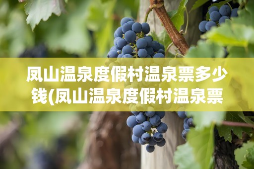 凤山温泉度假村温泉票多少钱(凤山温泉度假村温泉票多少钱一张)