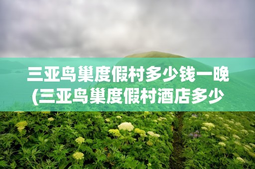 三亚鸟巢度假村多少钱一晚(三亚鸟巢度假村酒店多少钱一晚)