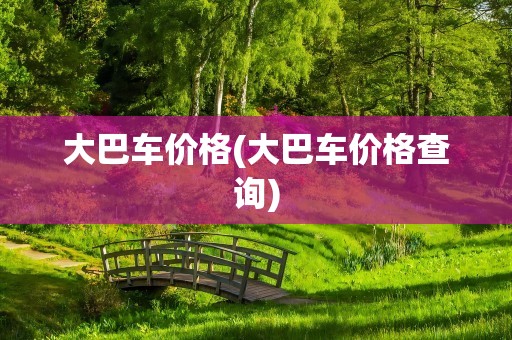 大巴车价格(大巴车价格查询)
