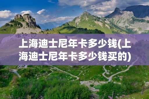 上海迪士尼年卡多少钱(上海迪士尼年卡多少钱买的)