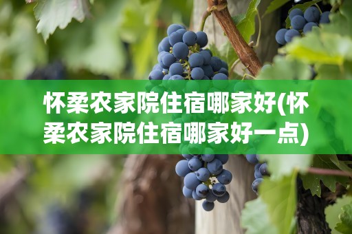怀柔农家院住宿哪家好(怀柔农家院住宿哪家好一点)