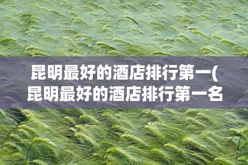 昆明最好的酒店排行第一(昆明最好的酒店排行第一名)