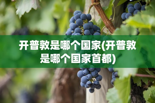 开普敦是哪个国家(开普敦是哪个国家首都)