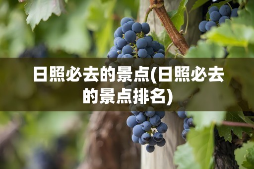 日照必去的景点(日照必去的景点排名)