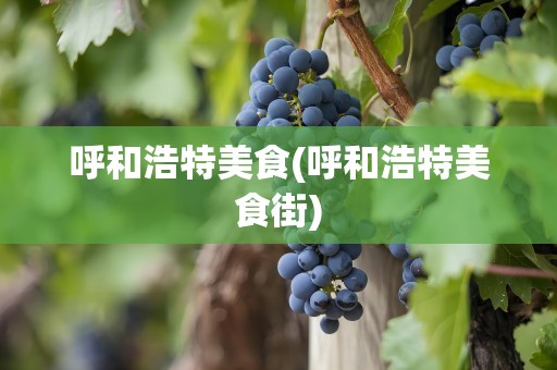 呼和浩特美食(呼和浩特美食街)