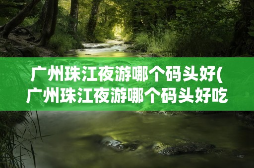 广州珠江夜游哪个码头好(广州珠江夜游哪个码头好吃)