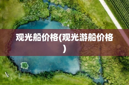 观光船价格(观光游船价格)