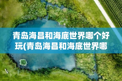 青岛海昌和海底世界哪个好玩(青岛海昌和海底世界哪个好玩些)