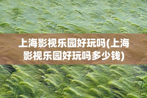 上海影视乐园好玩吗(上海影视乐园好玩吗多少钱)