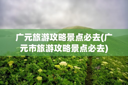 广元旅游攻略景点必去(广元市旅游攻略景点必去)