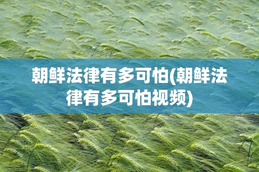 朝鲜法律有多可怕(朝鲜法律有多可怕视频)