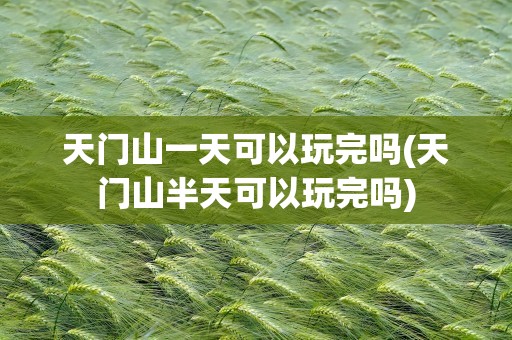 天门山一天可以玩完吗(天门山半天可以玩完吗)