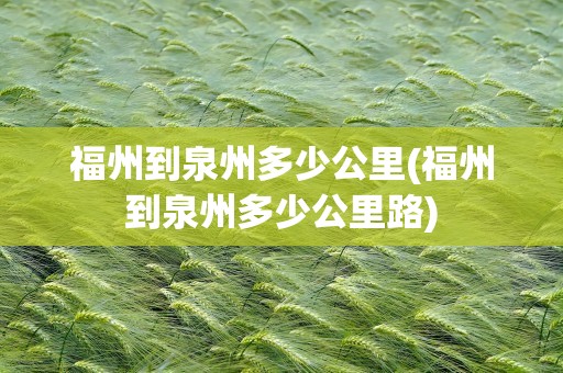 福州到泉州多少公里(福州到泉州多少公里路)