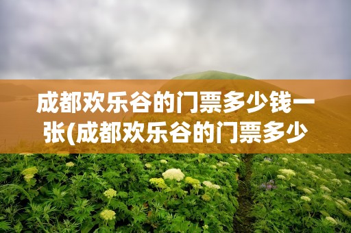 成都欢乐谷的门票多少钱一张(成都欢乐谷的门票多少钱一张票)